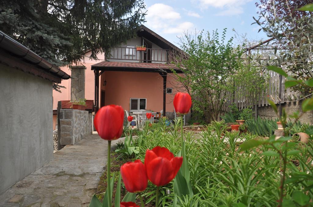Holiday Home Vilata Kŭrdzhali Dış mekan fotoğraf